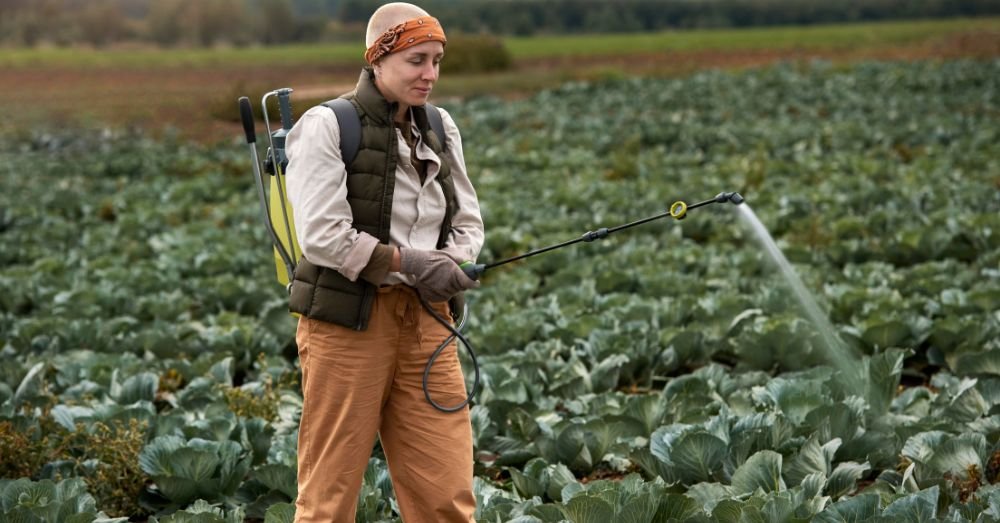 Ácido Bórico na Agricultura